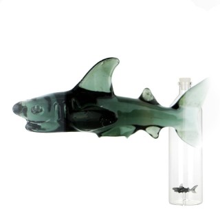 Carafe 1.2l SHARK