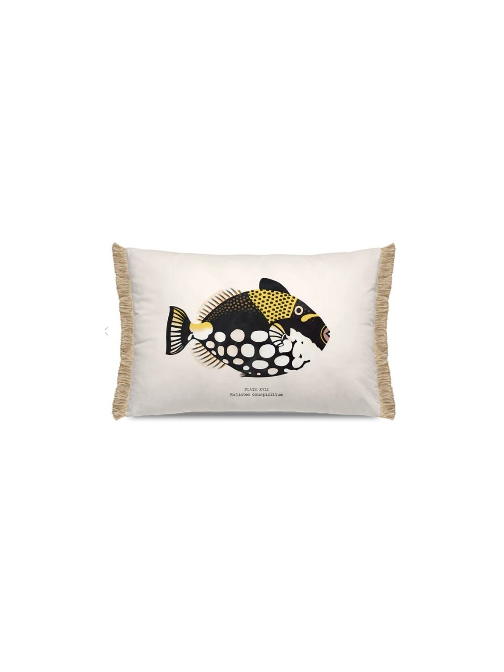 Coussin Jobo - Franges - Outdoor - 40X60cm