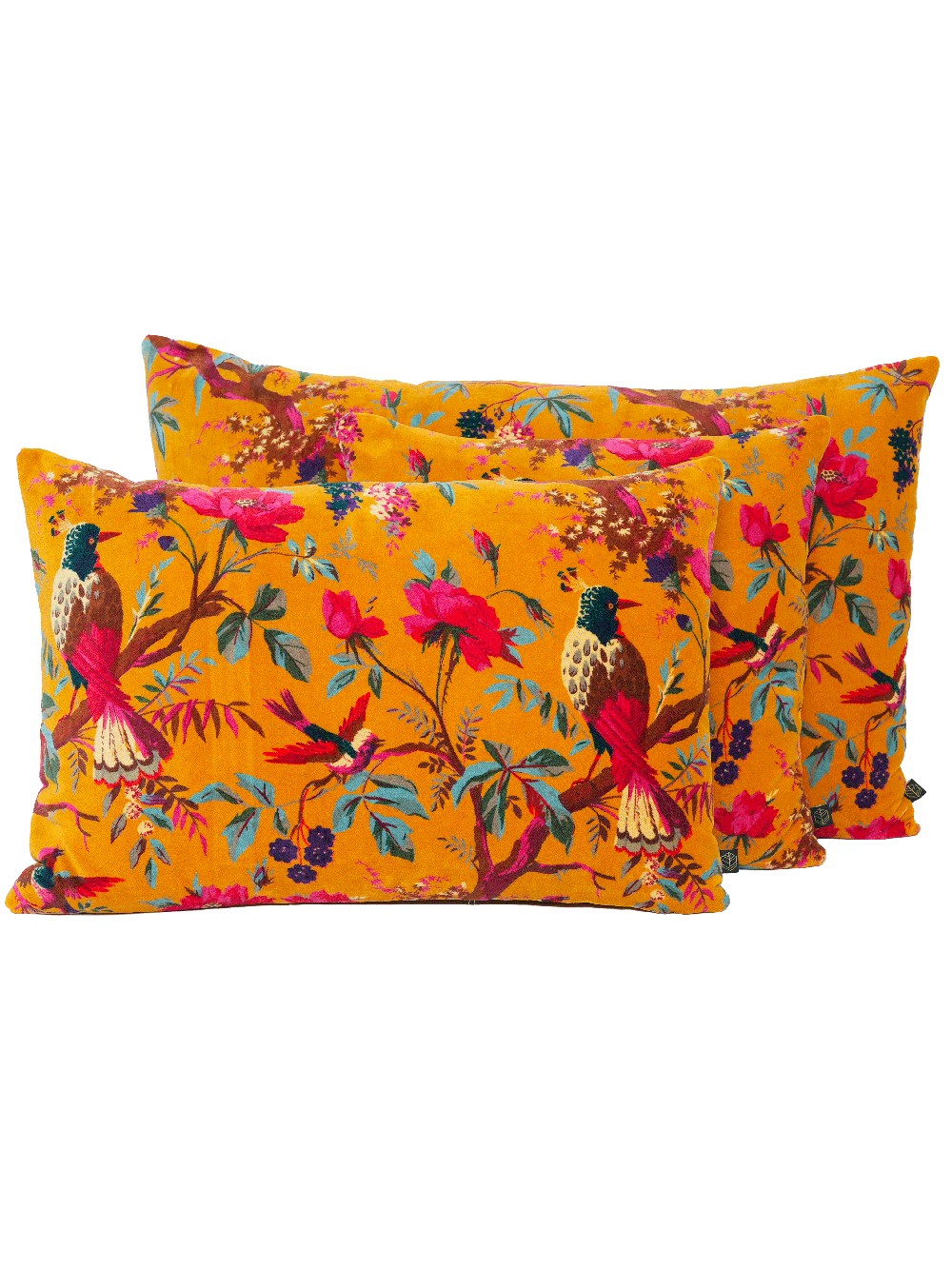 Coussin en velours chamois - Birdy