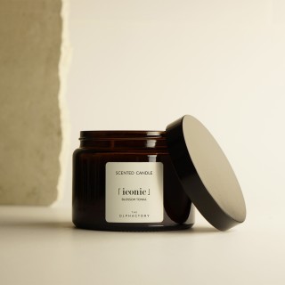 Bougie 360 g - The Olphactory