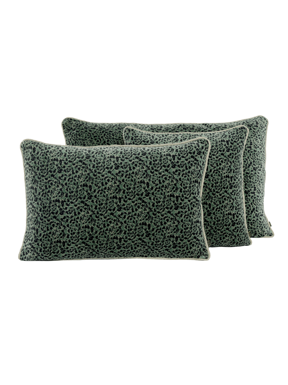 Coussin - Gairo