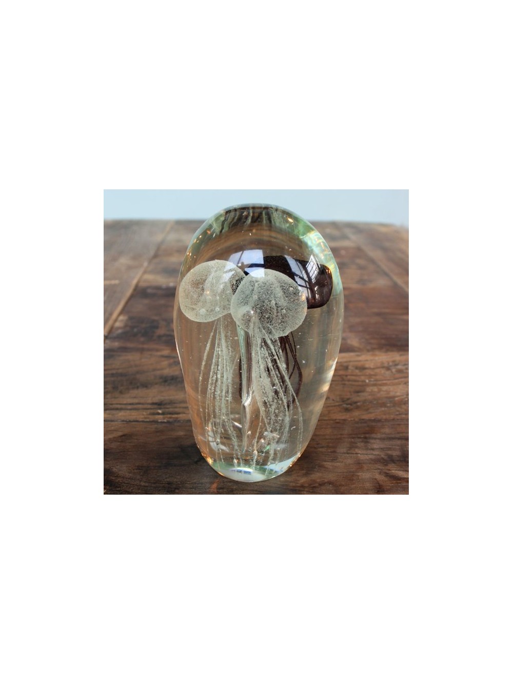 SULFURE 16CM 3 MEDUSES 