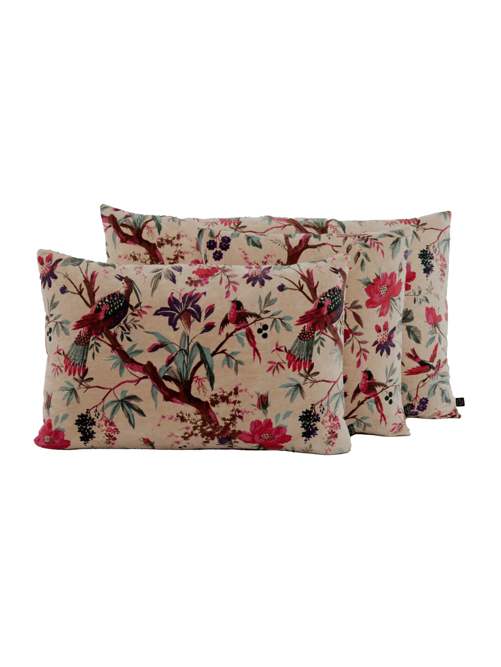 Coussin en velours - Birdy Lin