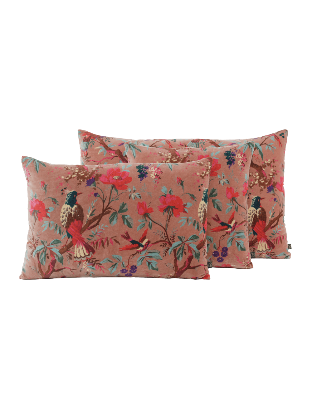 Coussin velours Birdy Mocaccino