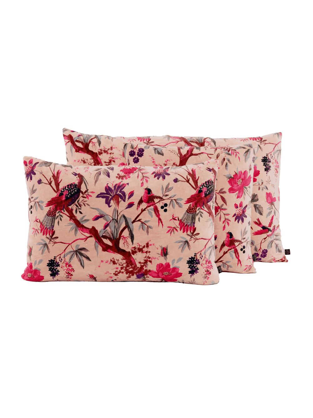 Coussin en velours - Birdy