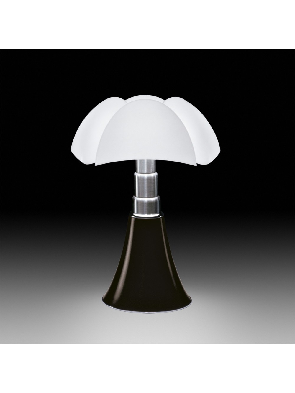 PIPISTRELLO MARRON FONCE GM