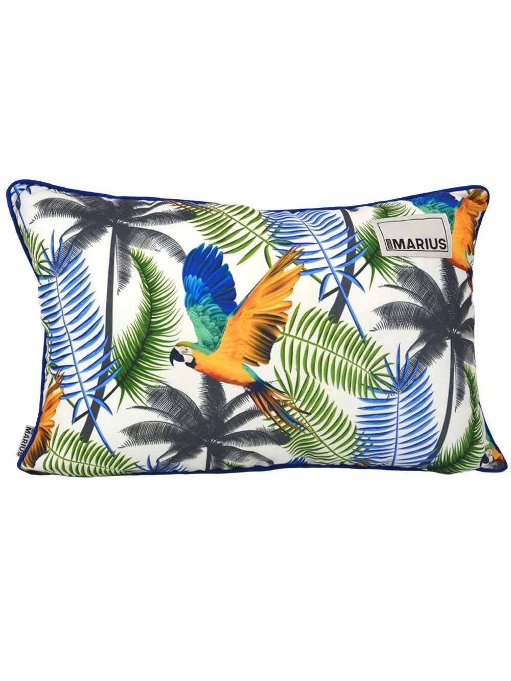 COUSSIN MARIUS ARAS 40X60 