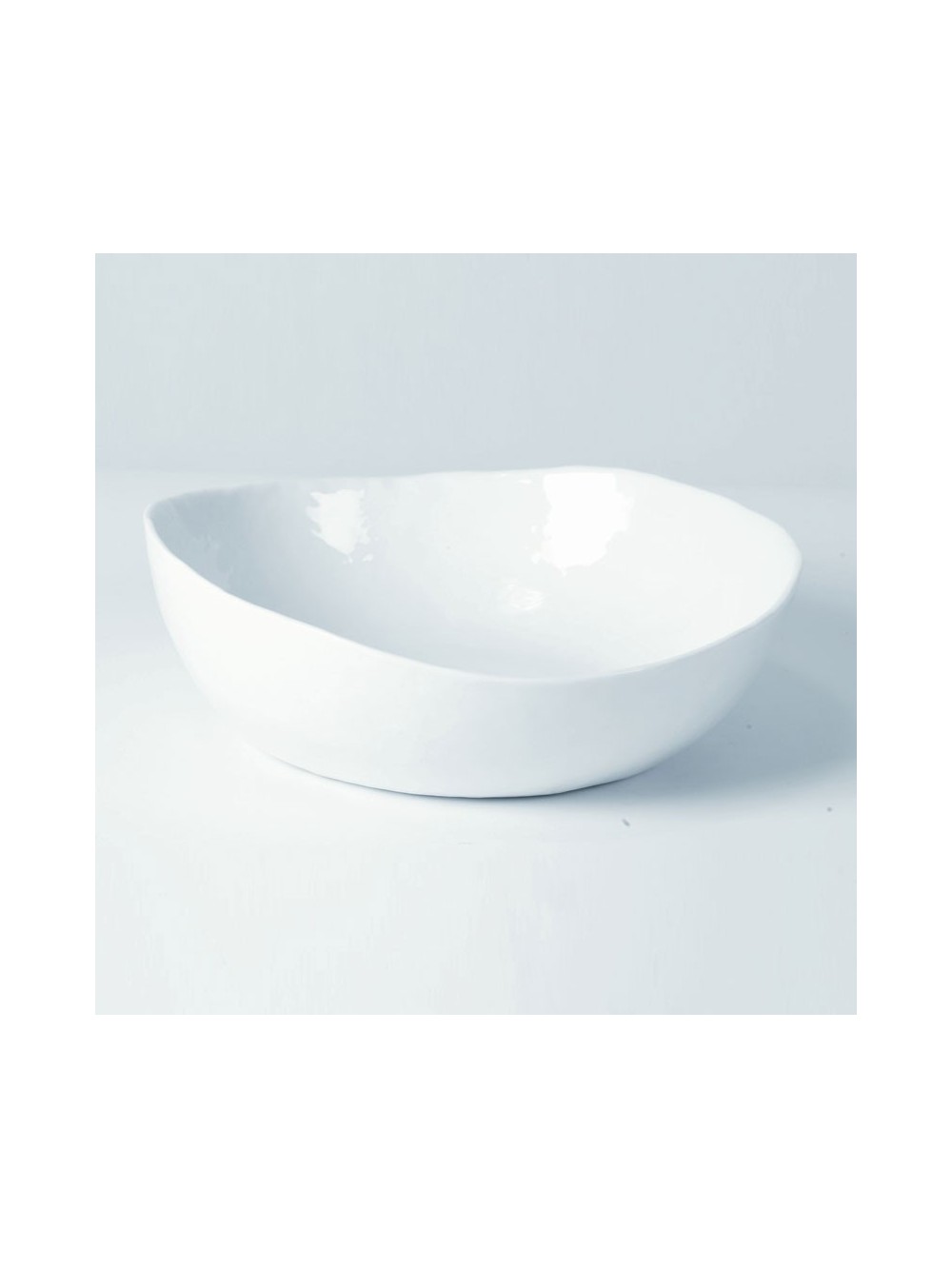 ASSIETTE CREUSE DIA21 CM PORCE